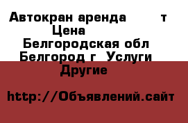 Автокран аренда 16-100т › Цена ­ 1 200 - Белгородская обл., Белгород г. Услуги » Другие   